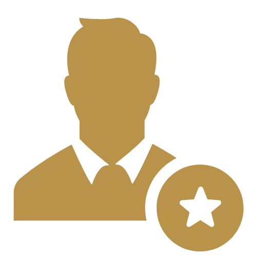 lexus website icons